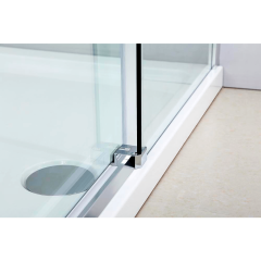 Душевая дверь в нишу  Black&amp;White S218 1000х1950