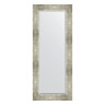Зеркало настенное с фацетом EVOFORM в багетной раме алюминий, 56х136 см, BY 1160