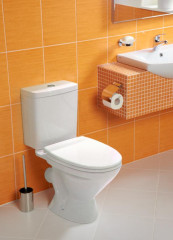 Унитаз-компакт Santek &quot;Лига&quot; с сидением стандарт