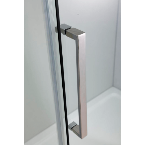 Душевая дверь в нишу  Black&White S218 1200х1950
