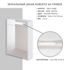 Зеркало-шкаф Итана Roberto 60х17х79 Подвесной, Белый глянцевый (761636)