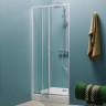 Душевая дверь в нишу Kolpa San Q Line TVO/S 80