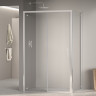 Душевой уголок RGW PA-177 (RGW PA-017 + Z-050-2) арт. 350817729-11