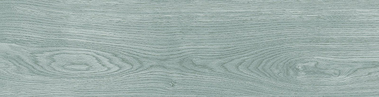 Atlantis Gris Porc. 24x88