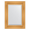 Зеркало настенное с фацетом EVOFORM в багетной раме травленое золото, 59х79 см, BY 3392