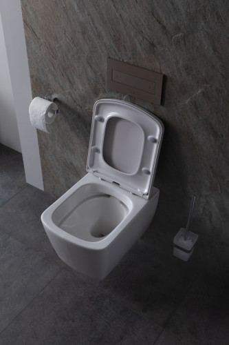 Унитаз подвесной Allen Brau Liberty 4.32003.20