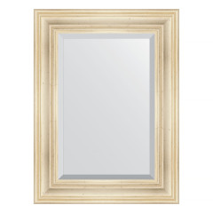 Зеркало настенное с фацетом EVOFORM в багетной раме травленое серебро, 59х79 см, BY 3393