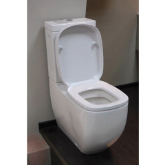 Чаша для унитаза-компакта Laufen Palomba (8.2480.6.400.000.1)