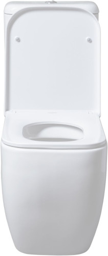 Чаша напольного унитаза Allen Brau Infinity 4.21001.20 00279251