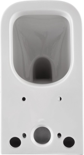 Чаша напольного унитаза Allen Brau Infinity 4.21001.20 00279251