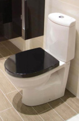 Чаша унитаза Roca VICTORIA NORD гориз. выпуск (7.342N.D.700.0)