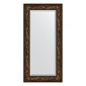 Зеркало настенное с фацетом EVOFORM в багетной раме Византия бронза, 59х119 см, BY 3495