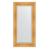 Зеркало настенное с фацетом EVOFORM в багетной раме травленое золото, 59х119 см, BY 3496