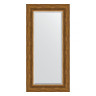 Зеркало настенное с фацетом EVOFORM в багетной раме травленая бронза, 59х119 см, BY 3498