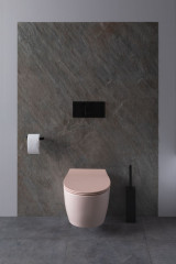 Чаша подвесного унитаза Allen Brau Fantasy 4.11004.SM розовый