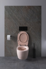 Чаша подвесного унитаза Allen Brau Fantasy 4.11004.SM розовый