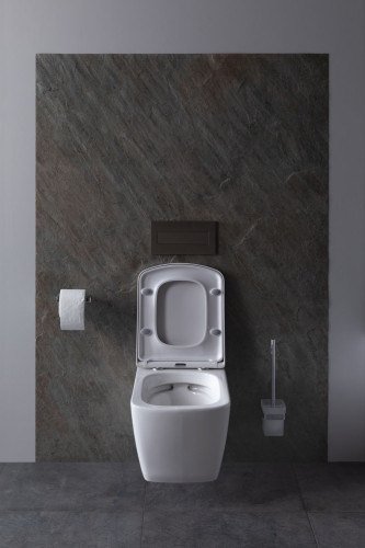 Чаша подвесного унитаза Allen Brau Liberty 4.33004.20