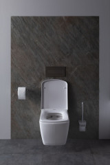 Чаша подвесного унитаза Allen Brau Liberty 4.33004.20