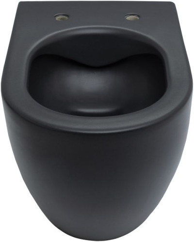 Чаша подвесного унитаза Allen Brau Reality 4.32006.31 черный