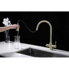 Смеситель для кухни Paulmark Lange, бронза, La214212-BR, Paulmark