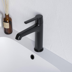 Смеситель на раковину RGW SP-301B арт. 511405301-04