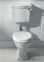 Унитаз Devon&amp;Devon Westminster IBWCWES