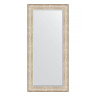 Зеркало настенное с фацетом EVOFORM в багетной раме виньетка серебро, 80х170 см, BY 3608