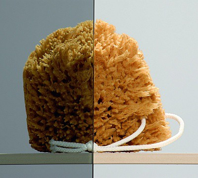 Шторка на ванну Radaway Torrenta PND 121