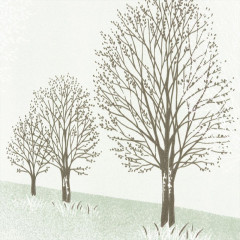 Штора для ванны Ridder Park 200х180