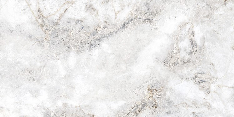 Керамогранит SAVA Polished 60x120