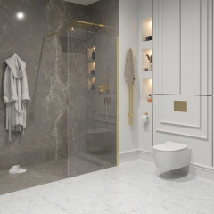 Душевая перегородка Niagara NG-643-12 GOLD (120x195)