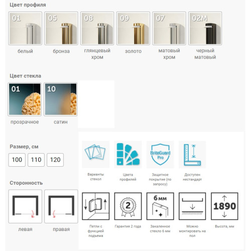 Дверь в душевой проем Vegas AFP 100