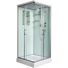 Душевая кабина WeltWasser WW500 Laine 1003 100x100