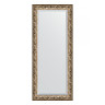 Зеркало настенное с фацетом EVOFORM в багетной раме фреска, 66х156 см, BY 1289