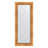 Зеркало настенное с фацетом EVOFORM в багетной раме римское золото, 56х136 см, BY 3516